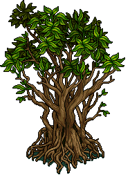 Mangrovia Laguna image