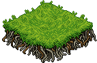 Erba Laguna image