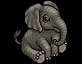 Aranya l'Elefante image