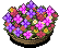Tiki Lei image