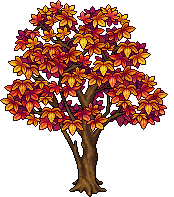 Acero Antico image