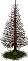 Albero Secco image