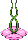 Fiore della Passione image