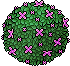 Karikomi in fiore image