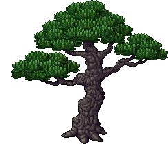 Albero Bonsai Gigante image