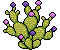 Cactus in Fiore image