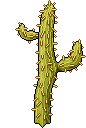 Cactus Spinato image