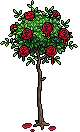 Cespuglio di Rose Rosse Dipinte image