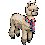 Albert l'Alpaca image