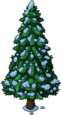 Albero di Pino cespuglioso. image