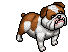 Bulldog Inglese image