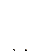 Pettirossi image