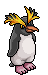 Pinguino Rockhopper