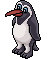 Pinguino Kimimanu! 