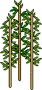 Bamboo Giardino dell'Armonia image