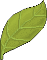 stick_easter_leaf6